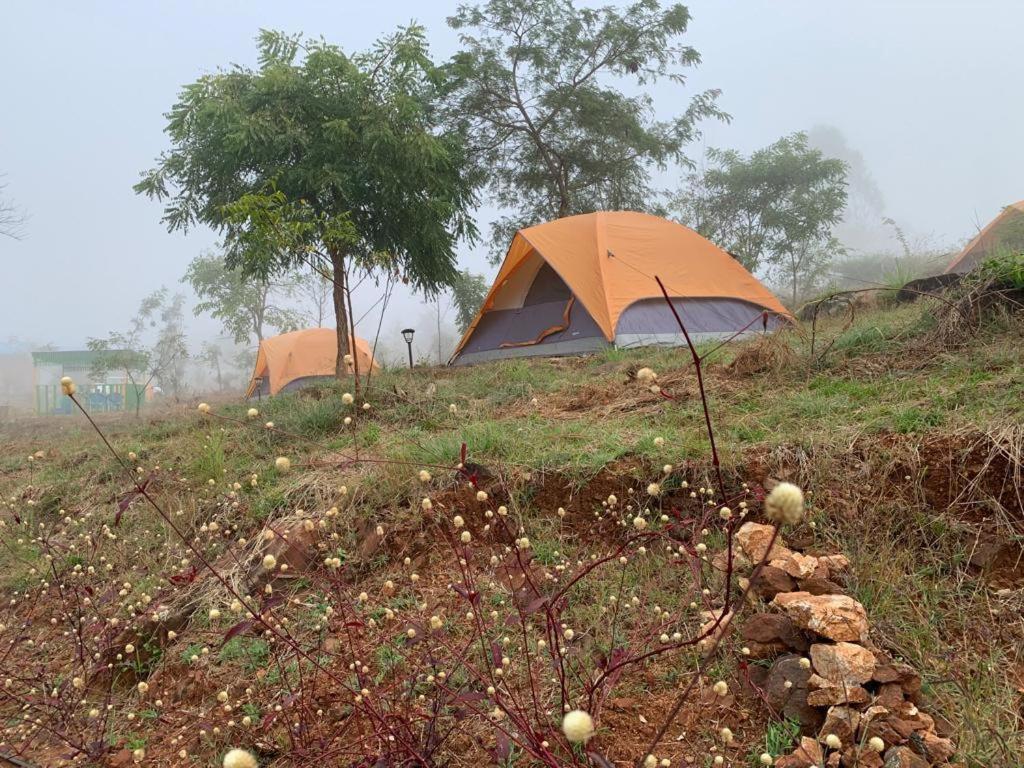 Malavalli Wilderness Jungle Camp酒店 外观 照片