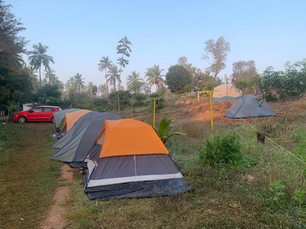 Malavalli Wilderness Jungle Camp酒店 外观 照片
