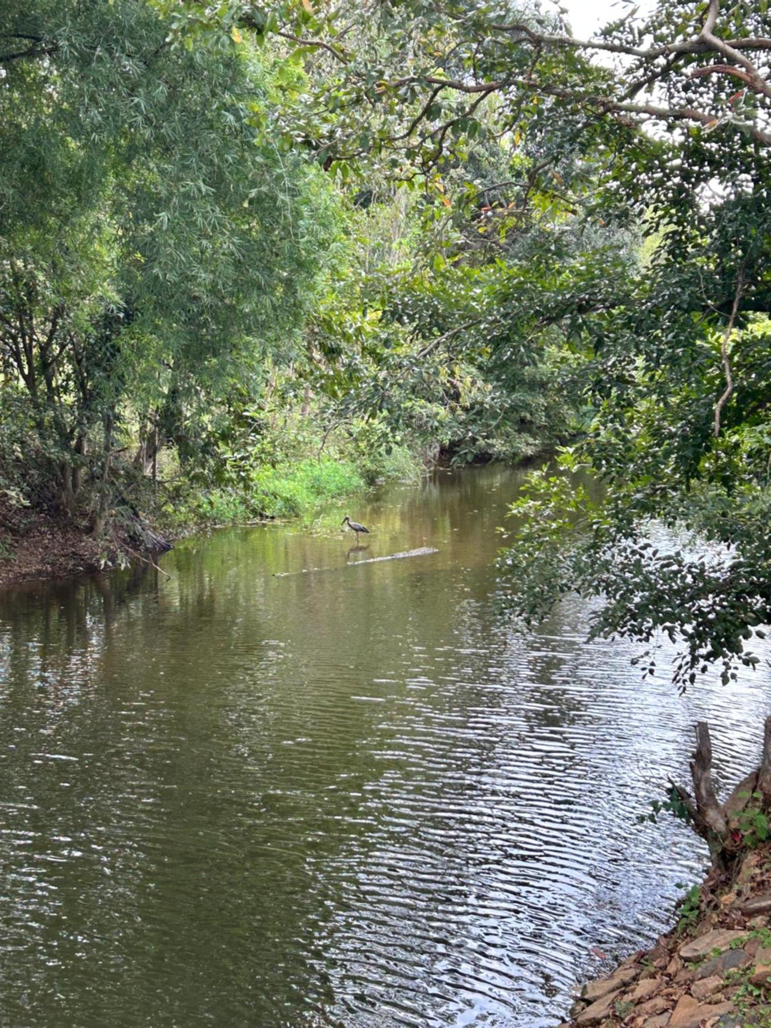 Malavalli Wilderness Jungle Camp酒店 外观 照片