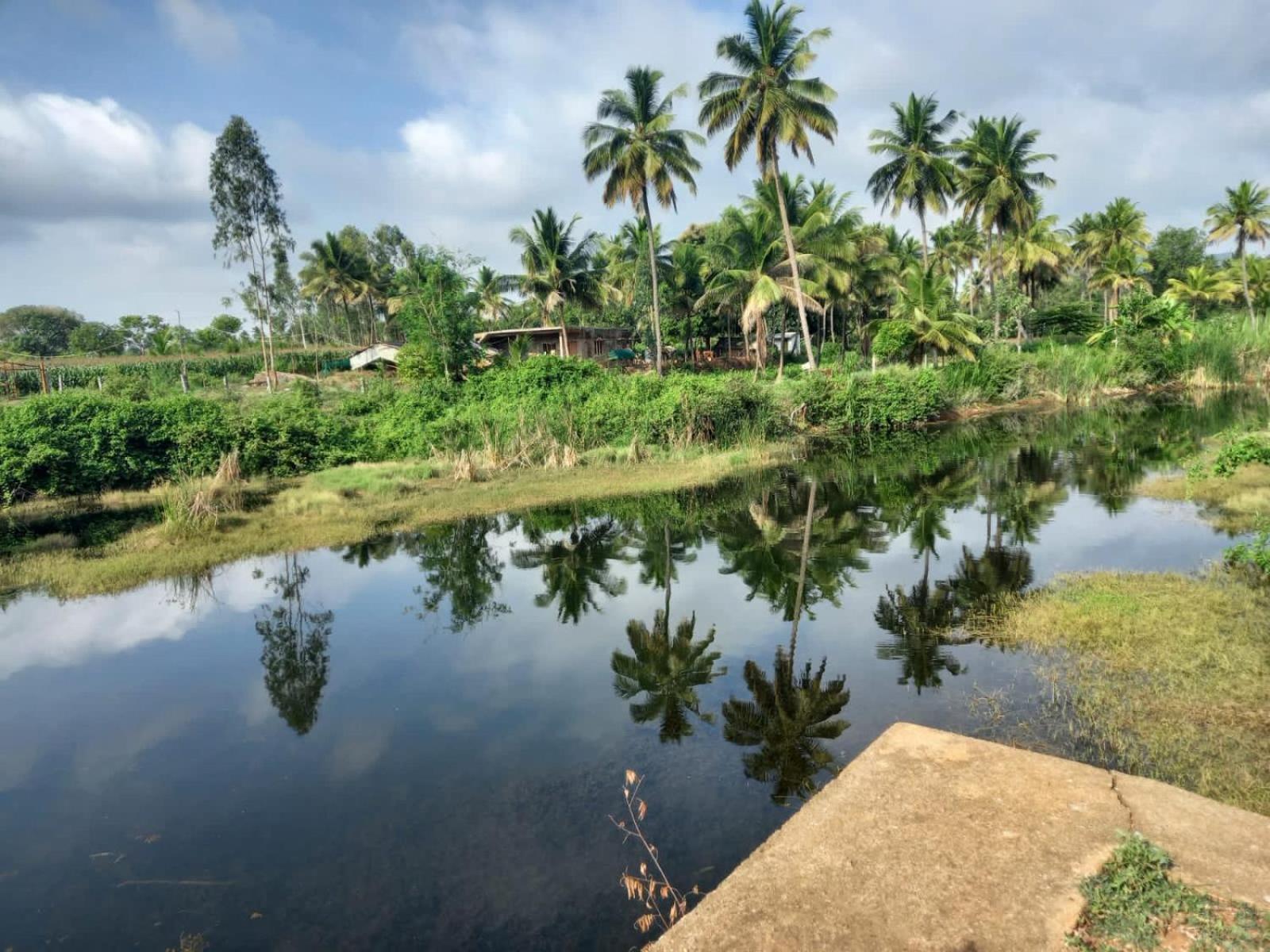 Malavalli Wilderness Jungle Camp酒店 外观 照片