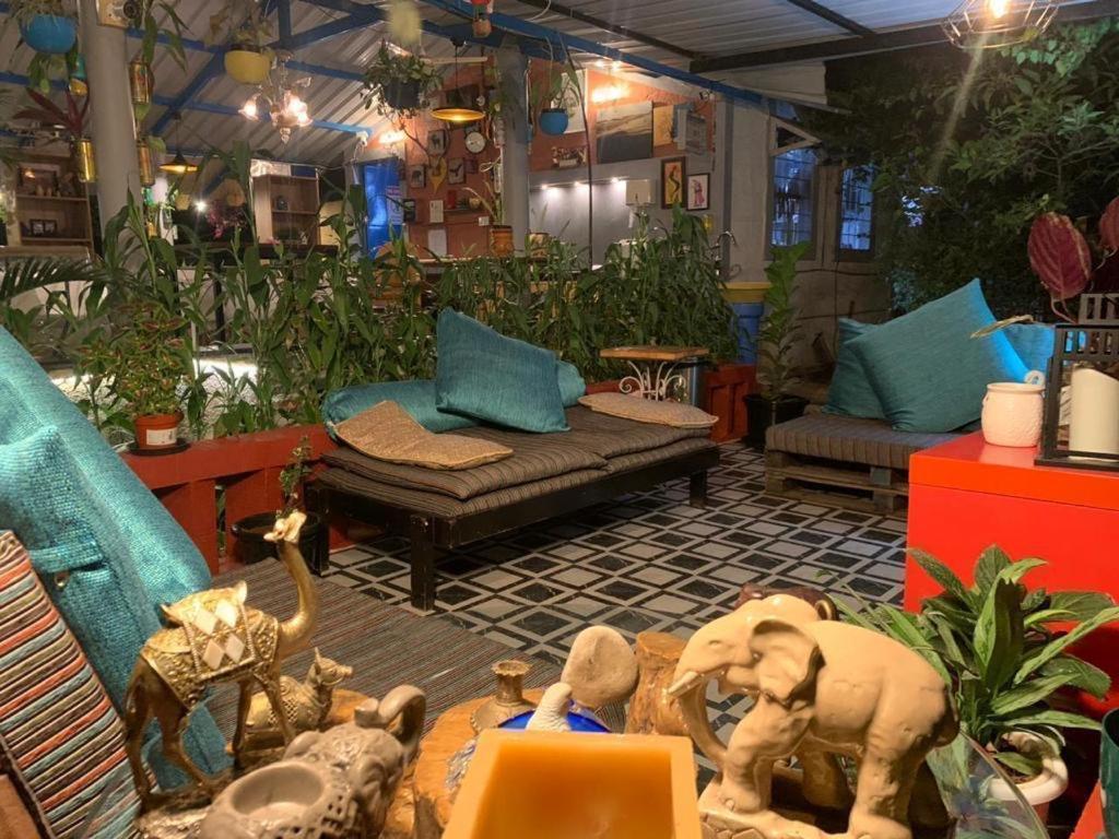 Malavalli Wilderness Jungle Camp酒店 外观 照片