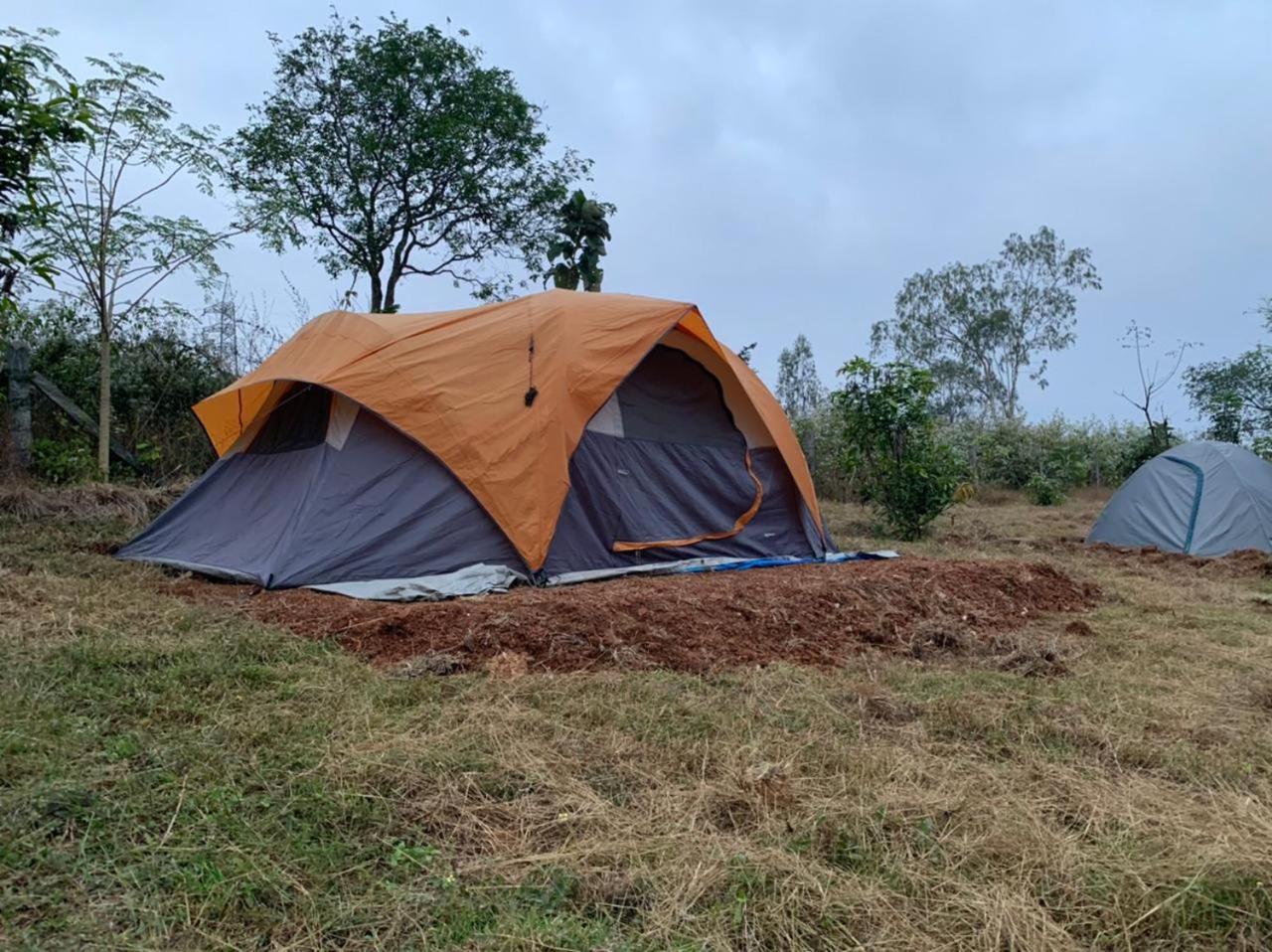 Malavalli Wilderness Jungle Camp酒店 外观 照片